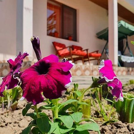 فيلا Casa Caraua Greci المظهر الخارجي الصورة