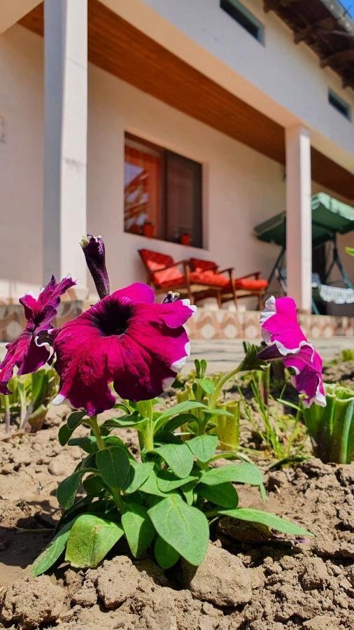 فيلا Casa Caraua Greci المظهر الخارجي الصورة